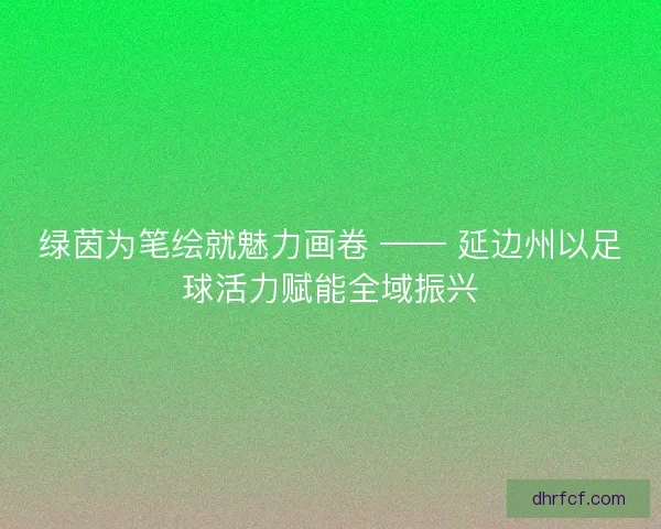 绿茵为笔绘就魅力画卷 —— 延边州以足球活力赋能全域振兴
